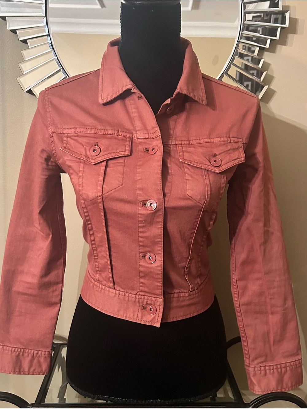 Aritzia Wilfred Cropped Jean Jacket in Terracotta